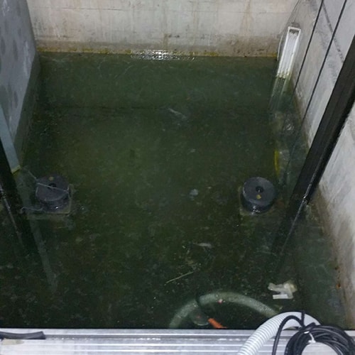 Aspect fond de fosse avant travaux